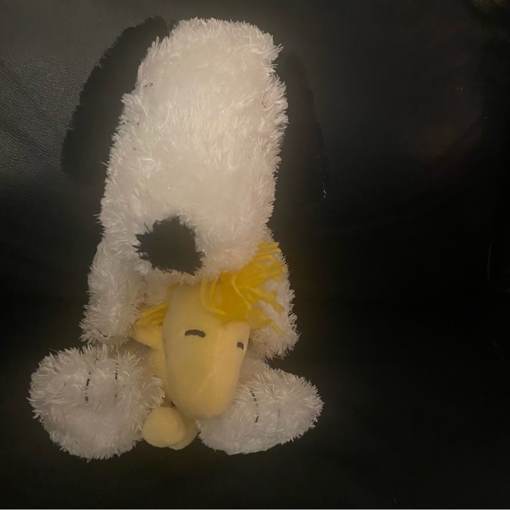 Cedar Fair Peanuts Snoopy & Woodstock Plushie.